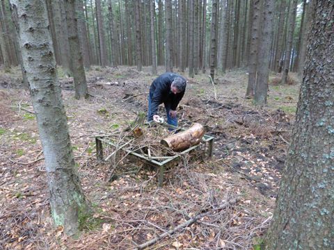Foto 313